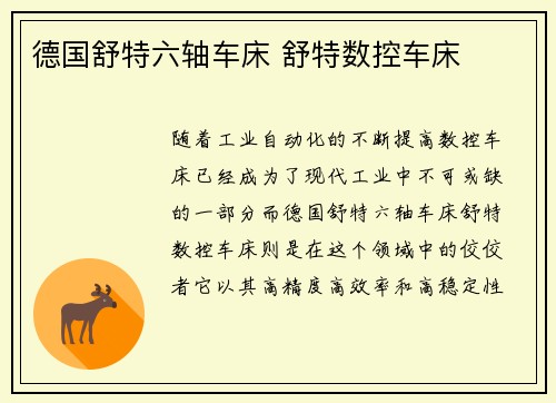 德国舒特六轴车床 舒特数控车床